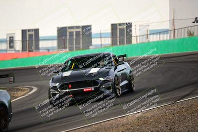 media/Feb-25-2024-Speed Ventures (Sun) [[b9a2a97a4d]]/Mustang Drivers Club/Session 1 (Turns 4 and 5)/